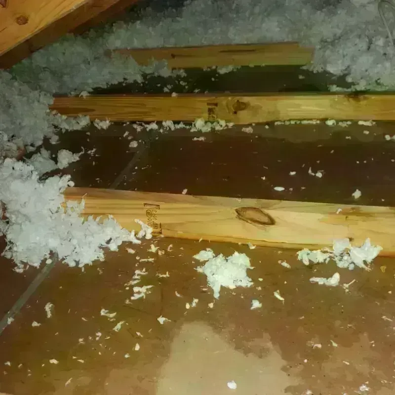 Attic Water Damage in Richwood, OH