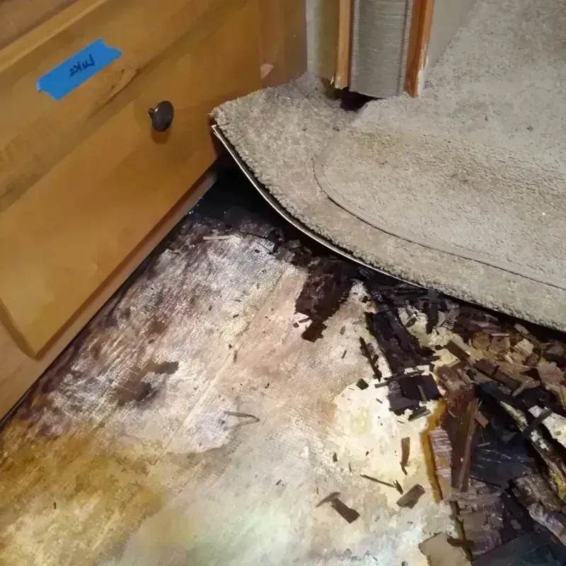 Wood Floor Water Damage in Richwood, OH